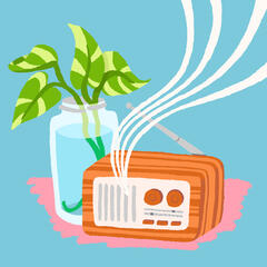 A illustration of a vintage radio in front of a plant in a jar.